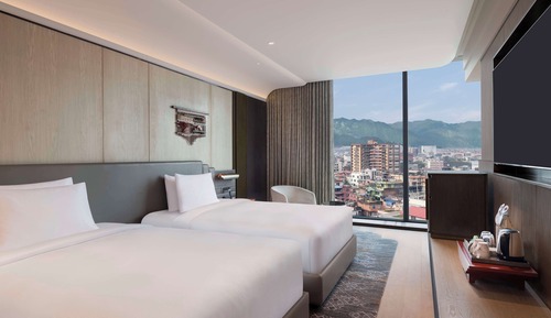 Habitación ejecutiva, 2 camas individuales