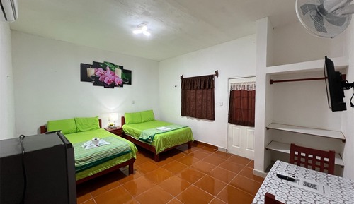 Habitación básica con 1 cama doble o 2 individuales