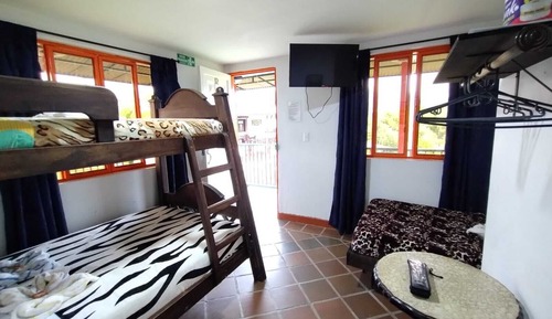 Habitación cuádruple estándar
