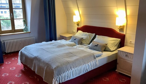 Suite junior, 1 cama de matrimonio grande, no fumadores, vistas al lago