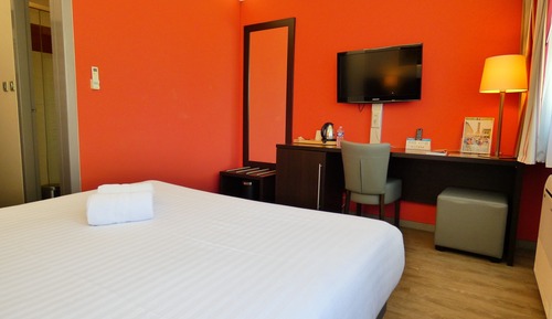Habitación clásica, 1 cama doble