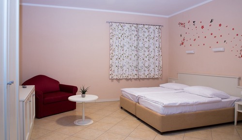 Habitación estándar con 1 cama doble o 2 individuales
