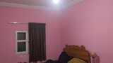 Traditional Single Room