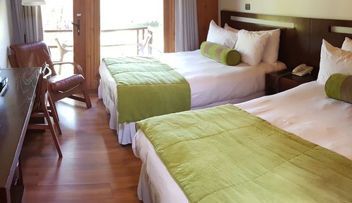 Habitación estándar doble, vistas al parque