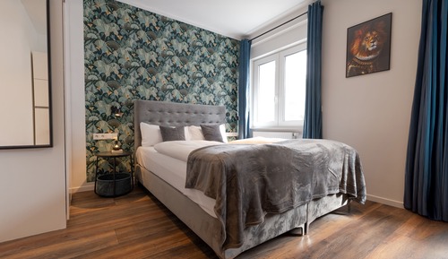 Comfort Studio Apartment