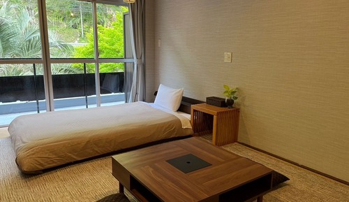 Habitación, balcón, vistas al río (Smart Room)