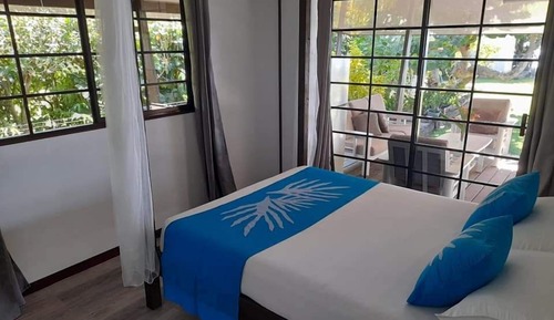 Habitación, vistas al jardín