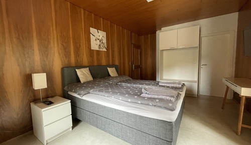 Habitación estándar doble, baño privado (Altbau)