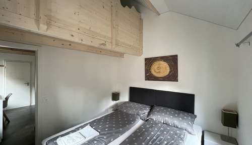 Suite superior, baño privado (Neubau)
