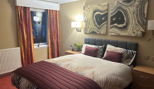 Habitación Confort con 1 cama doble o 2 individuales