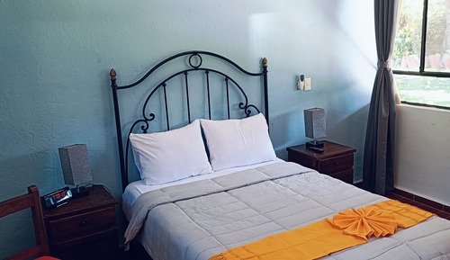 Habitación de luna de miel, vistas al jardín