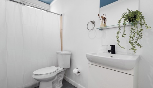 Apartamento (1 Bedroom)