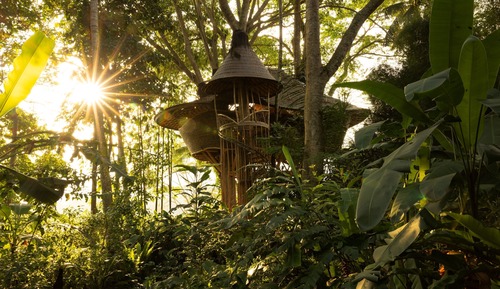 Casa de lujo en un árbol