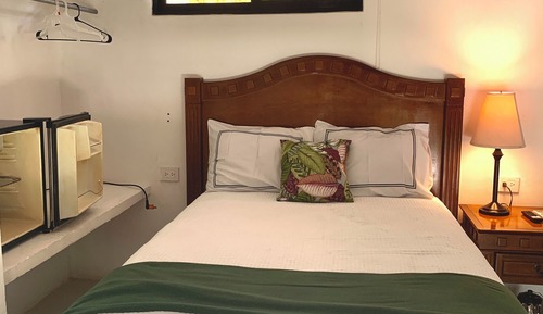 Habitación estándar, vistas al jardín