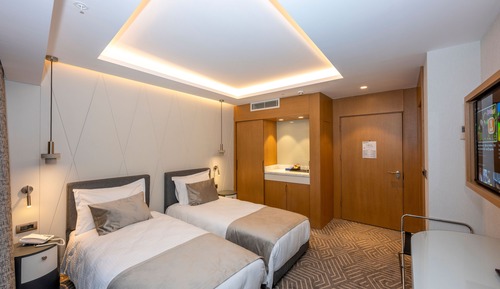 Habitación Deluxe con 2 camas individuales