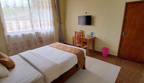 Habitación individual estándar