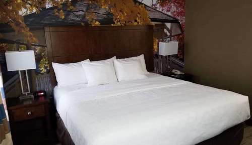 Habitación estándar, 1 cama de matrimonio grande, no fumadores, frigorífico y microondas