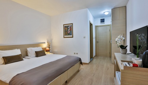 Habitación clásica con 1 cama doble o 2 individuales
