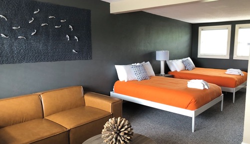 Suite estudio Confort