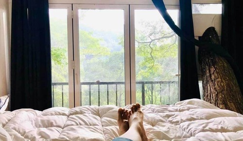 Casa en un árbol Premium