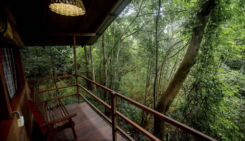 Casa Deluxe en un árbol