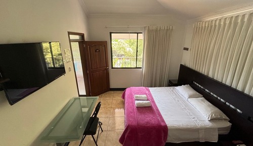 Habitación, vistas al jardín