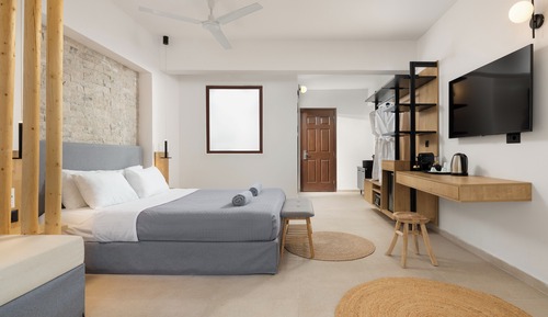 Suite junior, 1 cama doble con sofá cama, vistas al jardín