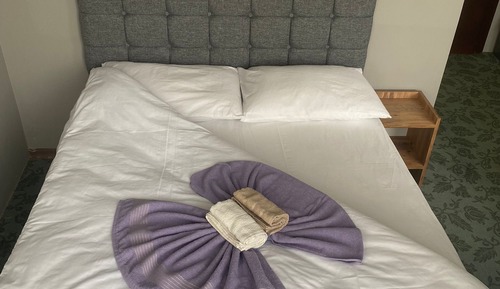Suite estudio Confort