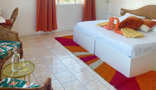 Habitación Deluxe con 1 cama doble o 2 individuales