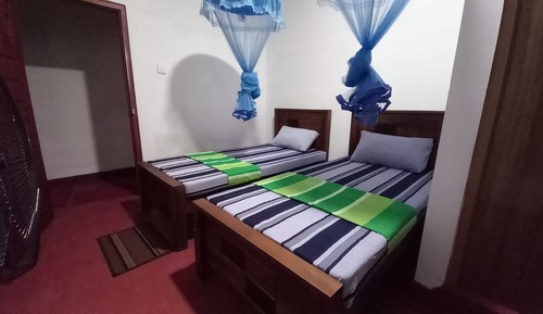 Habitación clásica con 1 cama doble o 2 individuales