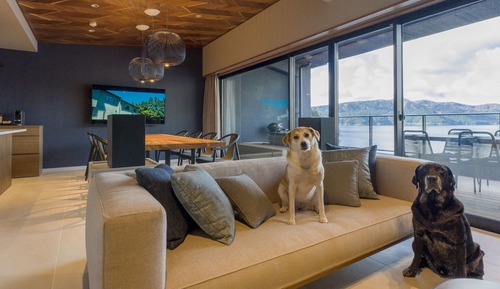 Habitación ejecutiva, varias camas, no fumadores (Dog Friendlyl, Suite)