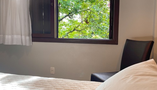 Habitación Deluxe, 1 cama doble