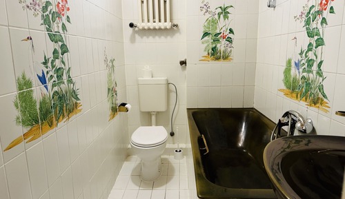 Habitación clásica con 2 camas individuales, baño privado