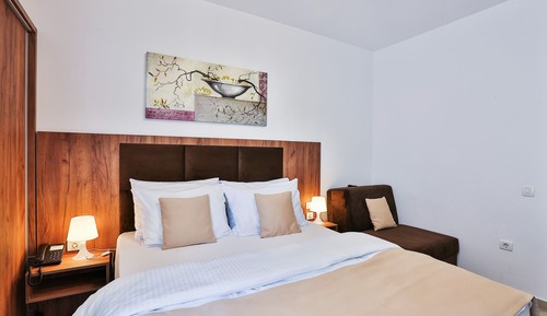 Habitación clásica con 1 cama doble o 2 individuales