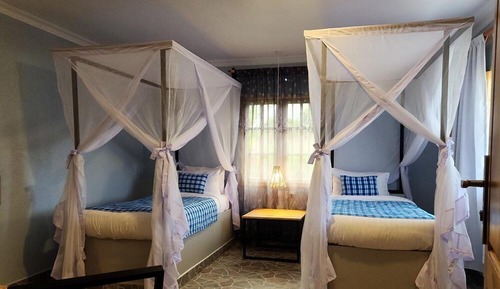 Habitación estándar con 1 cama doble o 2 individuales