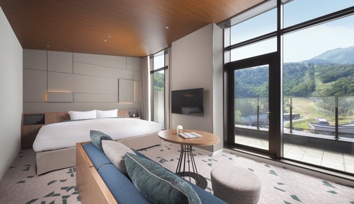 Habitación Deluxe, 1 cama de matrimonio grande (Premium)