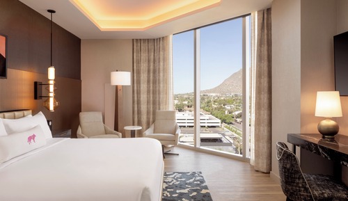 Suite Deluxe, 1 cama de matrimonio grande, accesible para personas con discapacidad (Bathtub)