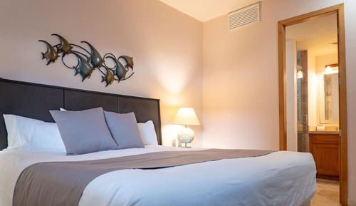 Apartamento, 1 cama de matrimonio grande con sofá cama, acceso a la piscina (#406-Not Pet Friendly)