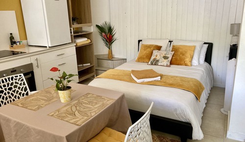 Suite estudio Confort, 1 cama doble con sofá cama, vistas al jardín