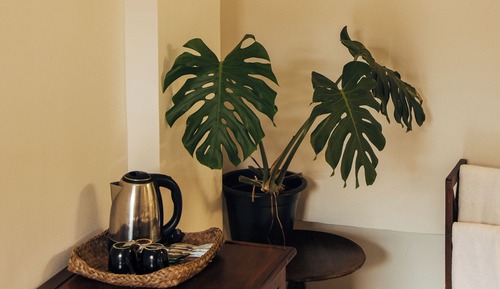 Habitación triple básica