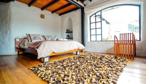 Suite estudio Premium, vistas al jardín