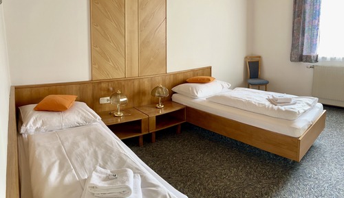 Habitación estándar con 2 camas individuales