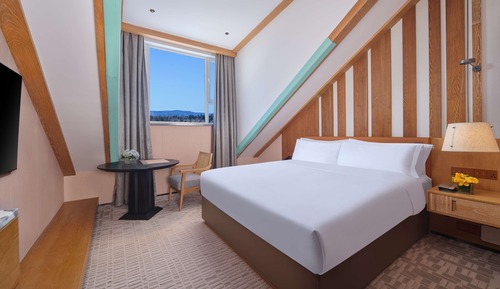 Habitación Premium, 1 cama de matrimonio grande
