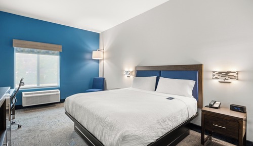 Habitación estándar, 1 cama de matrimonio grande (Pet Friendly)