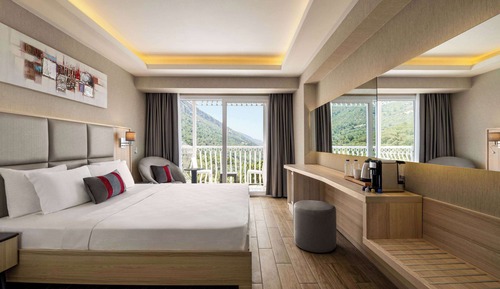 Habitación estándar, 1 cama doble