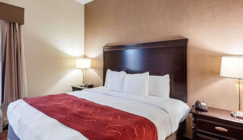 Suite estudio, 1 cama de matrimonio grande con sofá cama, no fumadores