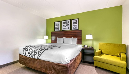 Habitación estándar, 1 cama de matrimonio grande, no fumadores