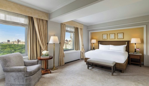 Suite, 1 habitación, Acceso al salón del club, vistas al parque (Central Park Suite)