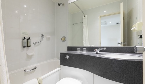 Habitación estándar, 1 cama doble (Minibar)
