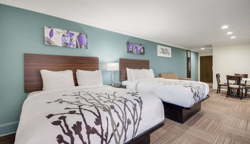 Suite, varias camas